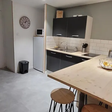 Au Pied Des Pistes Apartment *